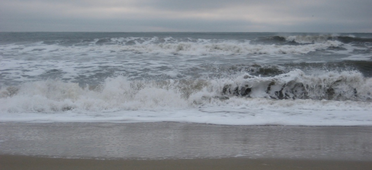 an image with no alt text